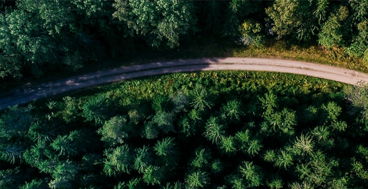 Hrvatsko Automobilsko Tržište u Preokretu